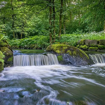 Smakfull Med Utsikt Over Sentrum